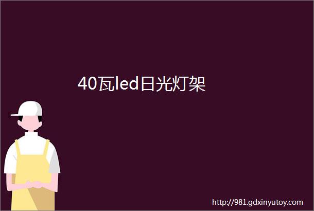 40瓦led日光灯架