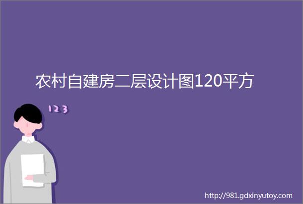 农村自建房二层设计图120平方